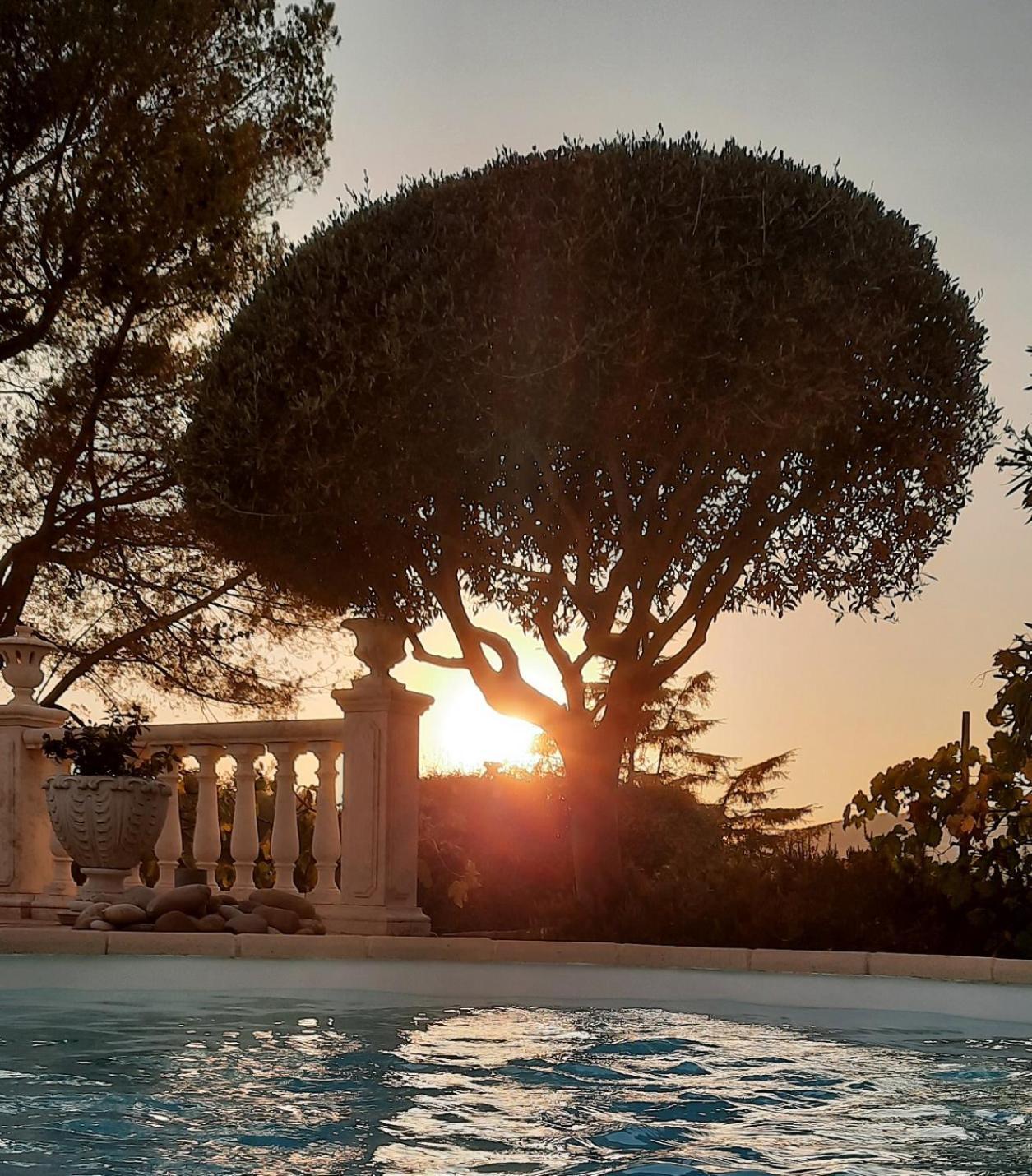 Gite Les Pins Climatise Piscine Chauffee Jardin Peymeinade Екстер'єр фото